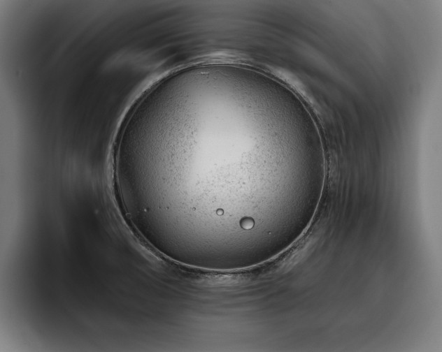 X0000093421474200710121134