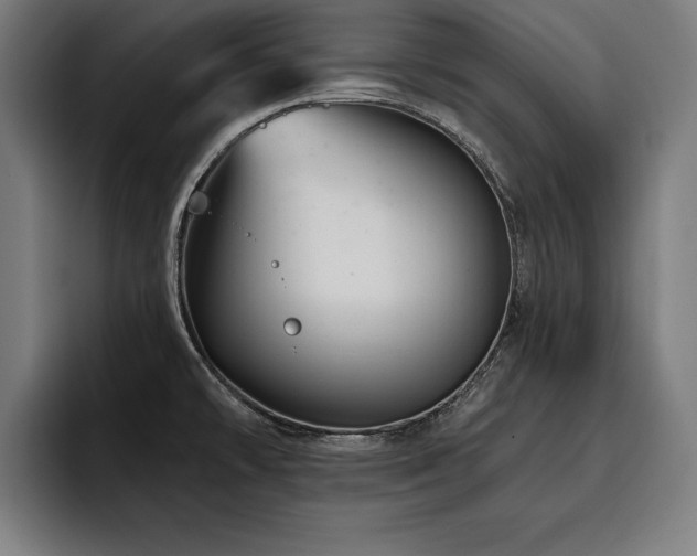 X0000093421478200710121134