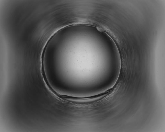 X0000093421479200710121134