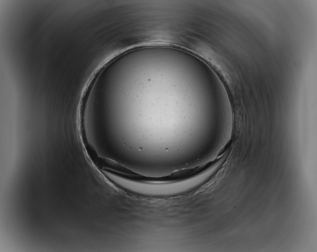 X0000093421480200710121134