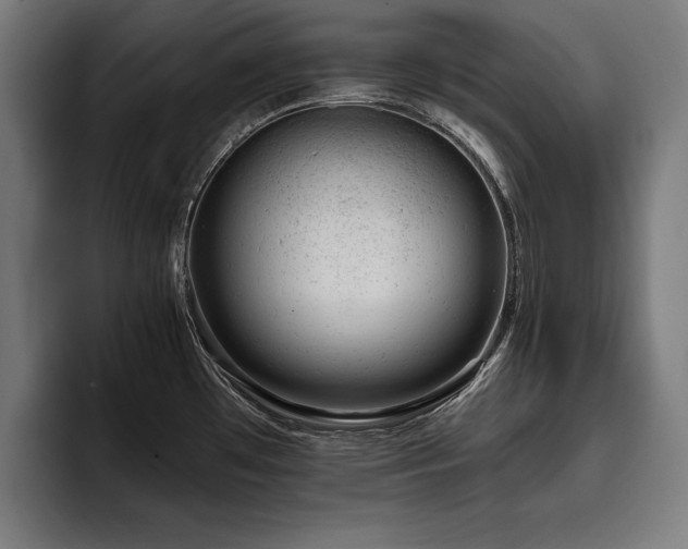 X0000093421481200710121134