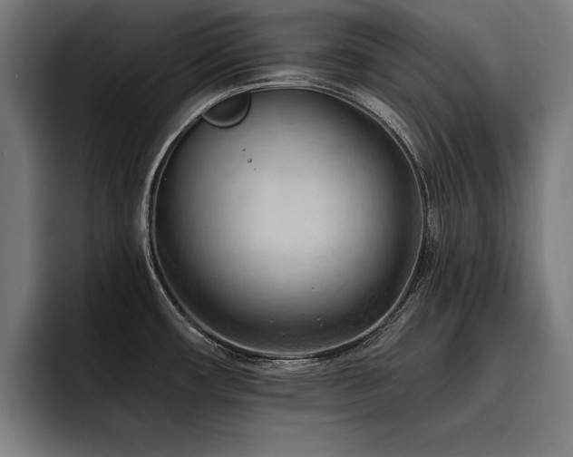 X0000093421482200710121134