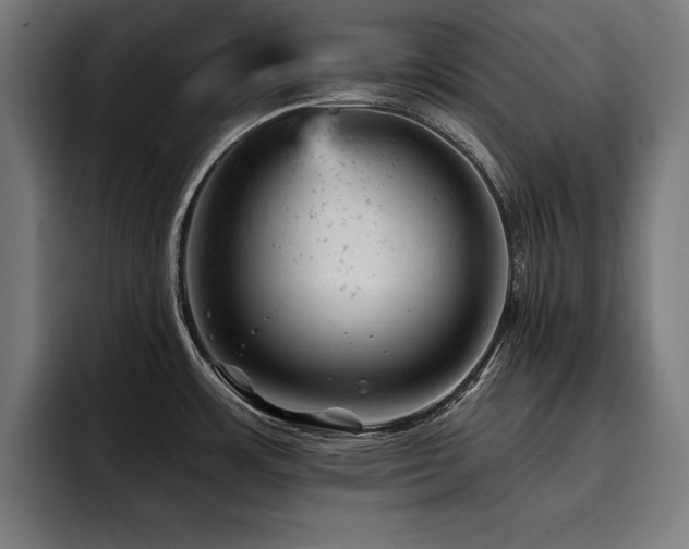 X0000093421483200710121134