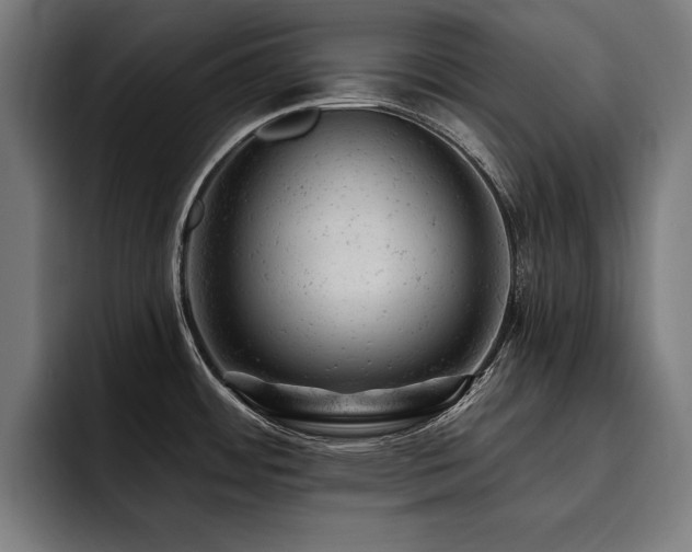 X0000093421484200710121134