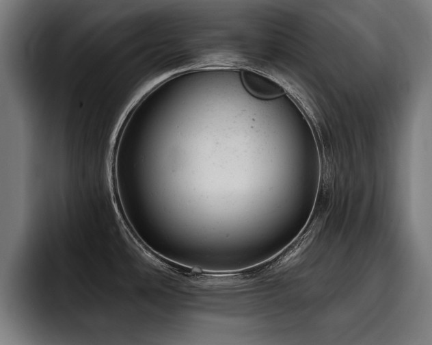 X0000093421486200710121134
