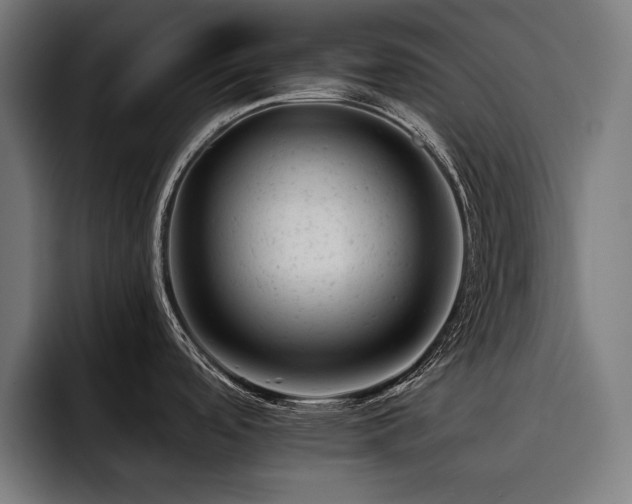 X0000093421488200710121134