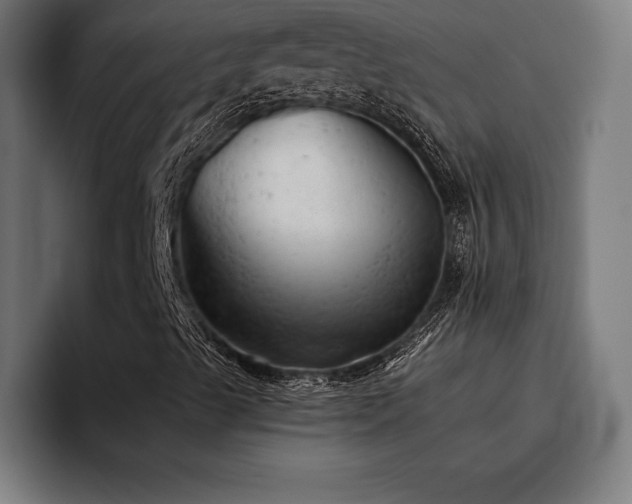 X0000093421489200710121134