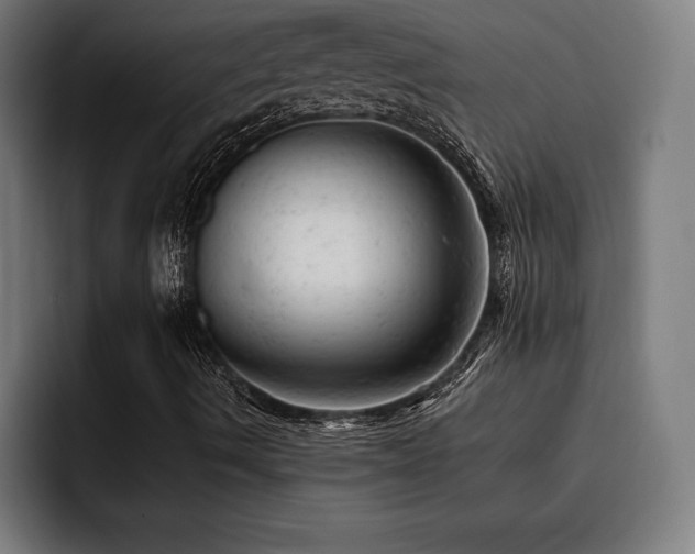 X0000093421490200710121134