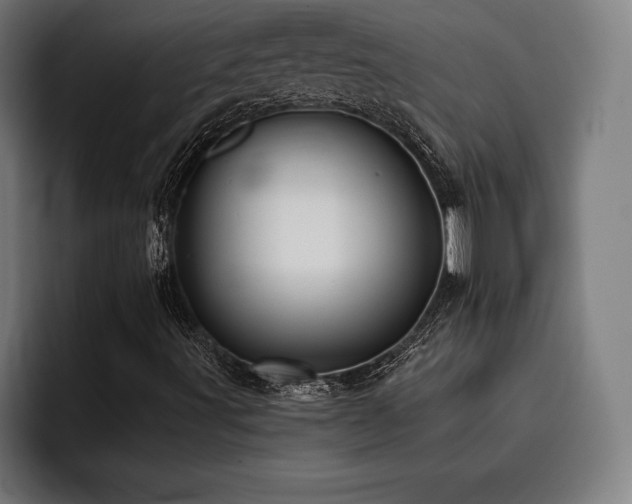 X0000093421491200710121134