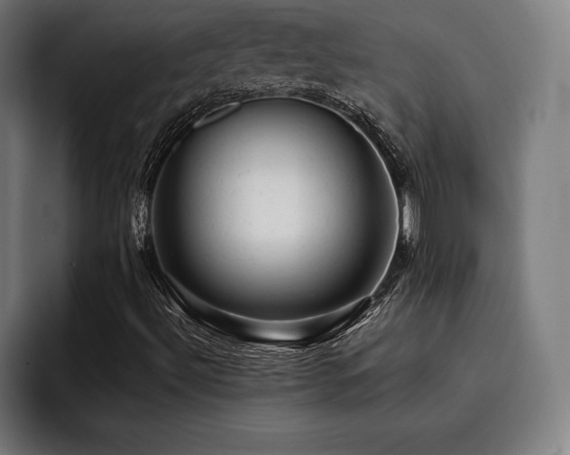 X0000093421492200710121134