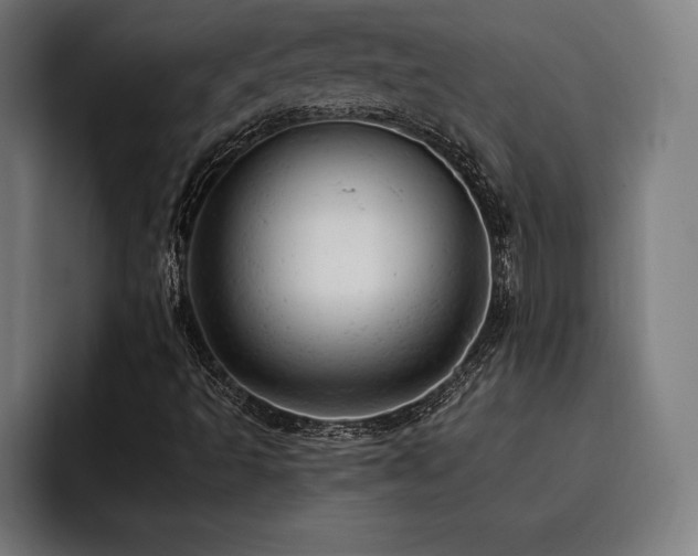 X0000093421493200710121134