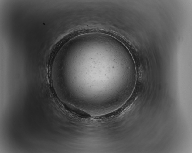 X0000093421494200710121134