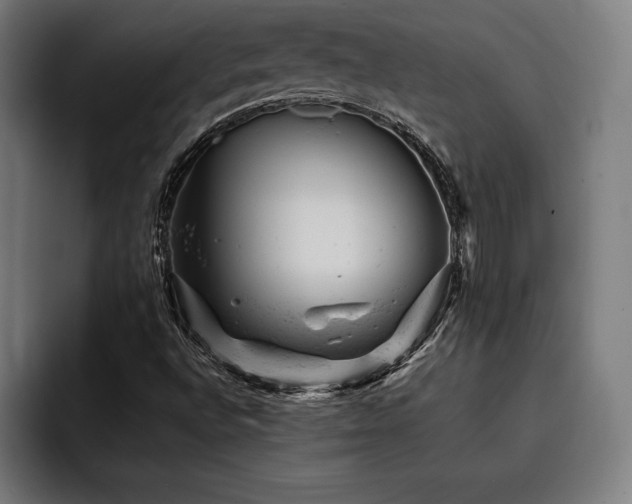 X0000093421496200710121134