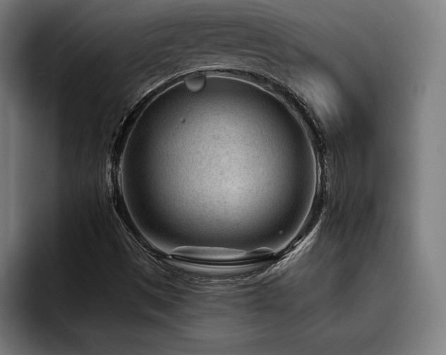 X0000093421497200710121134