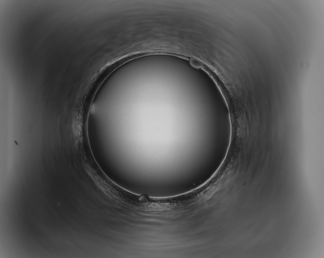 X0000093421499200710121134