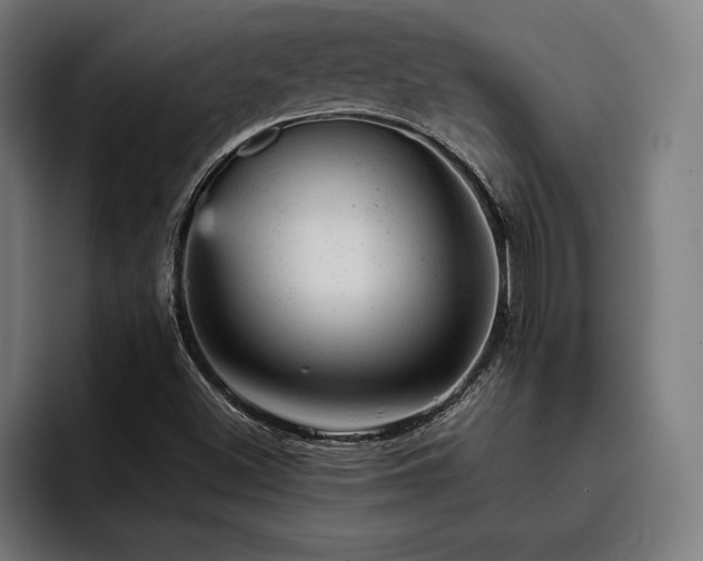 X0000093421500200710121134