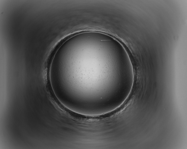 X0000093421503200710121134