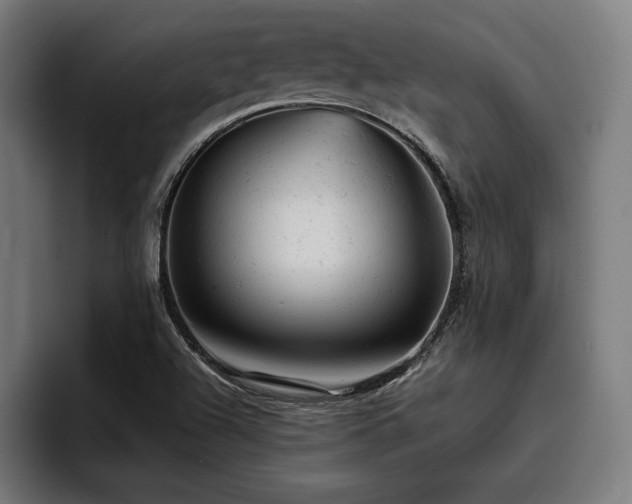 X0000093421504200710121134