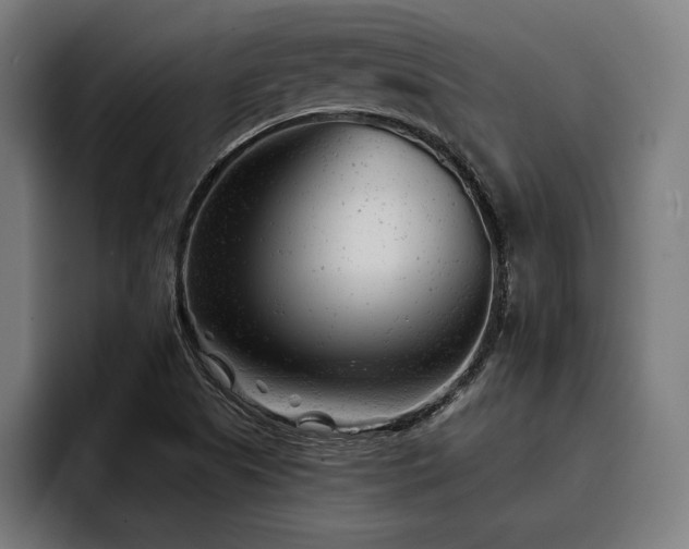 X0000093421505200710121134