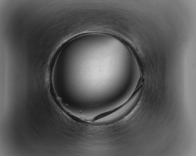 X0000093421506200710121134