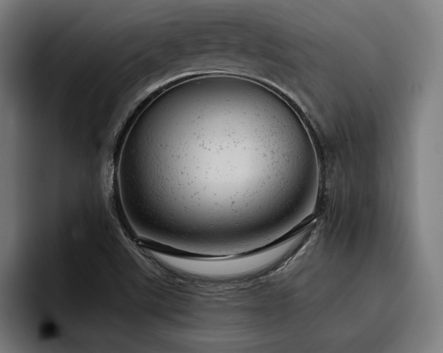 X0000093421507200710121134