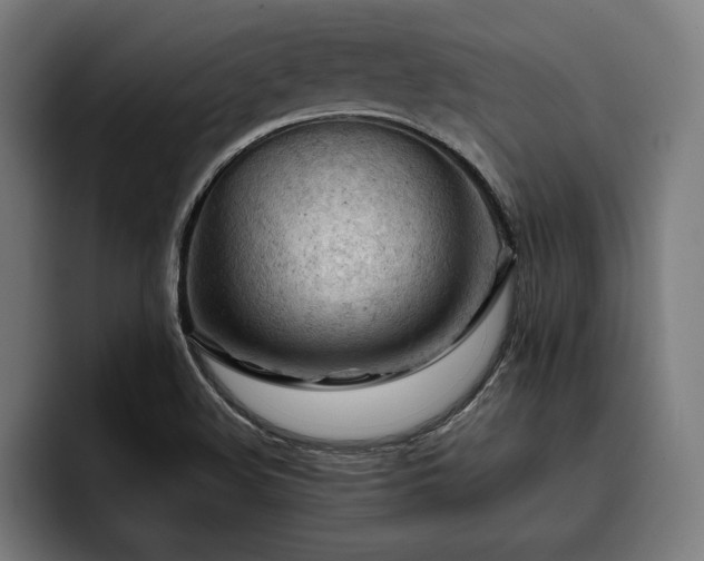 X0000093421508200710121134