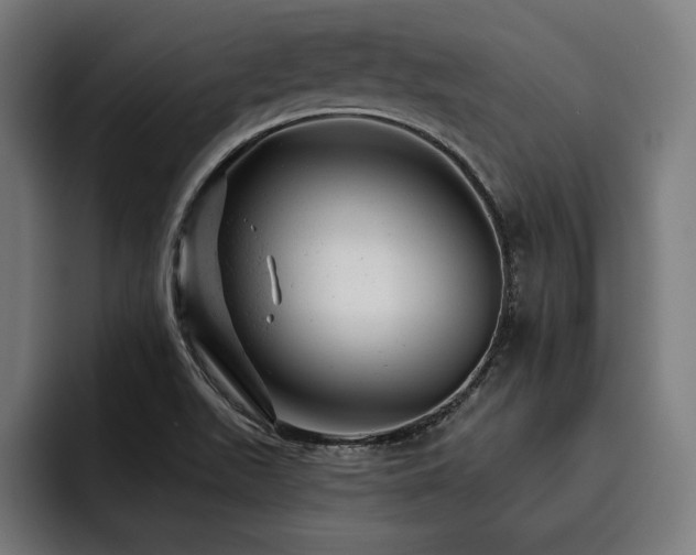 X0000093421511200710121134