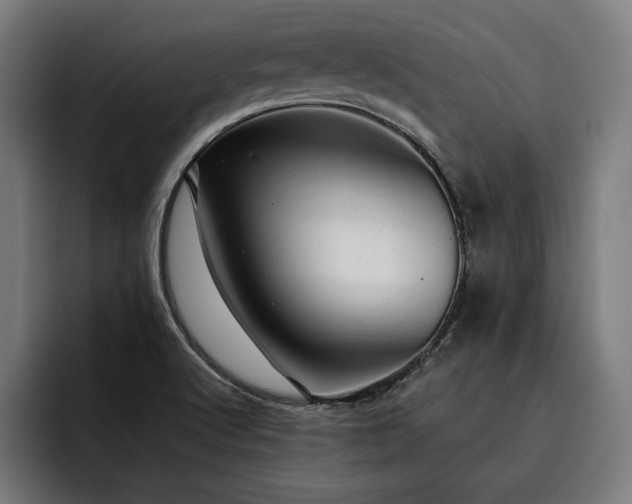 X0000093421512200710121134