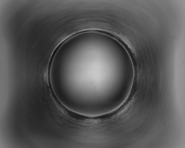 X0000093421513200710121134