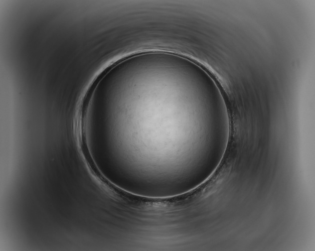 X0000093421515200710121134