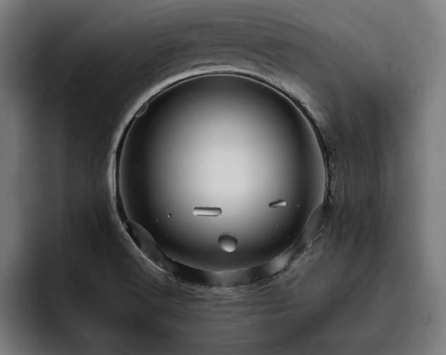 X0000093421516200710121134