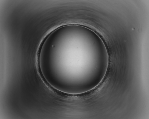 X0000093421517200710121134