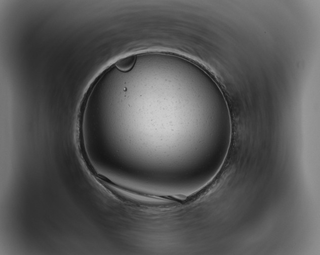 X0000093421518200710121134