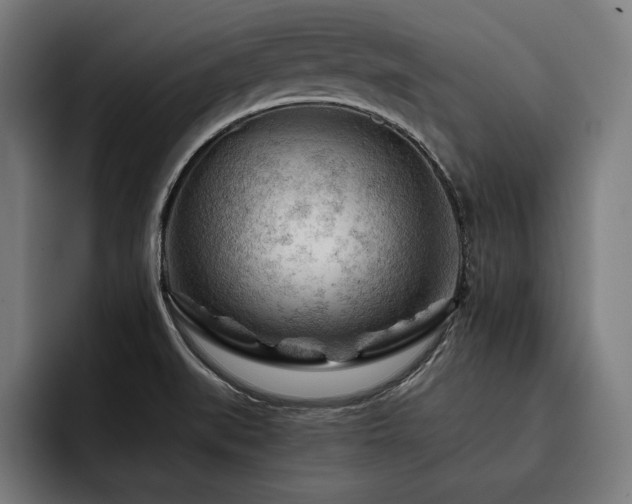 X0000093421519200710121134