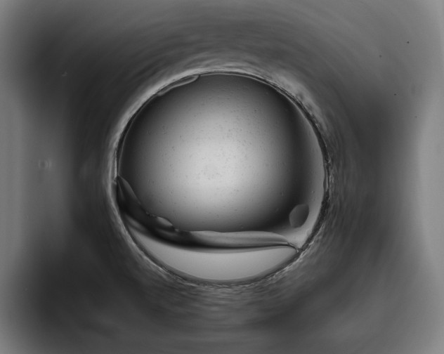 X0000093421520200710121134