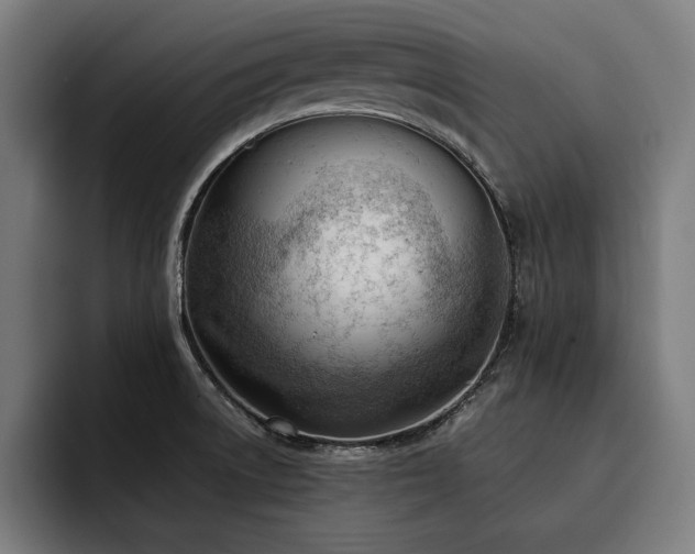 X0000093421522200710121134