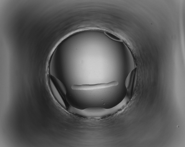 X0000093421524200710121134