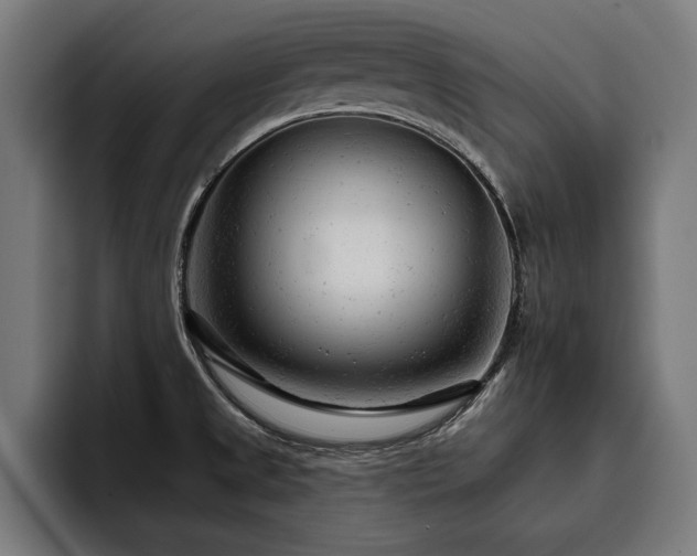 X0000093421525200710121134