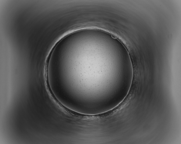 X0000093421526200710121134