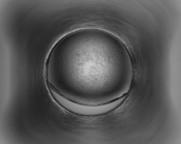 X0000093421527200710121134