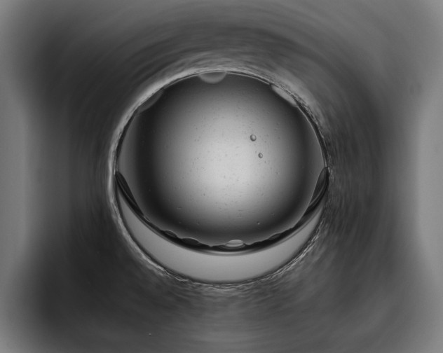 X0000093421528200710121134