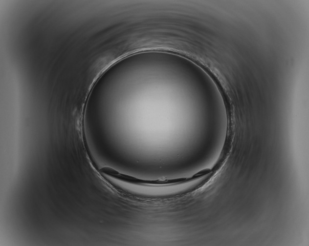 X0000093421529200710121134