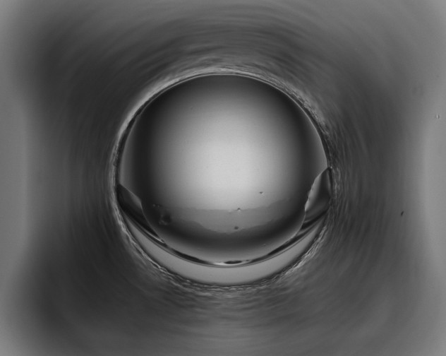 X0000093421530200710121134