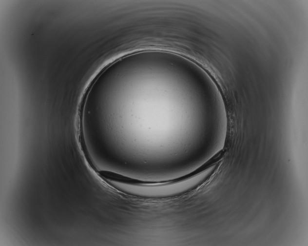 X0000093421531200710121134