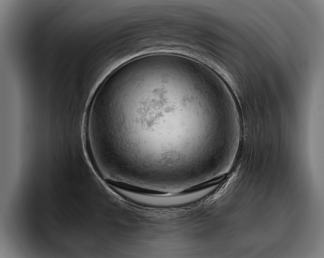 X0000093421533200710121134