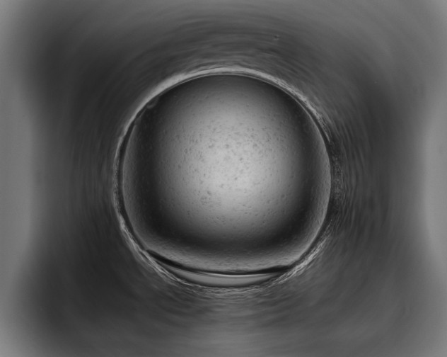 X0000093421534200710121134