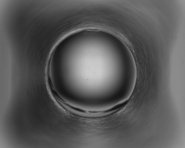 X0000093421536200710121134