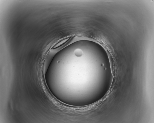 X0000093420001200710191015