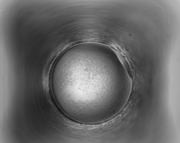 X0000093420002200710191015