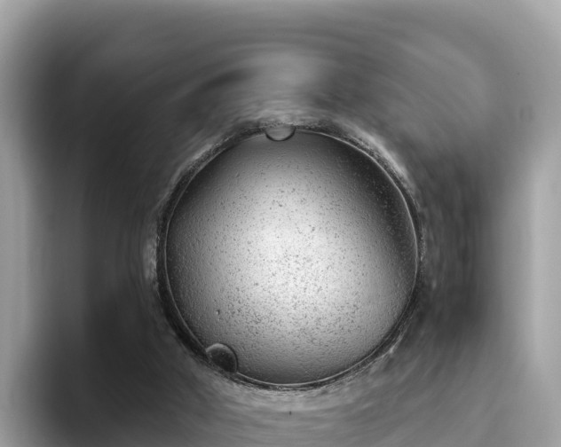 X0000093420010200710191015